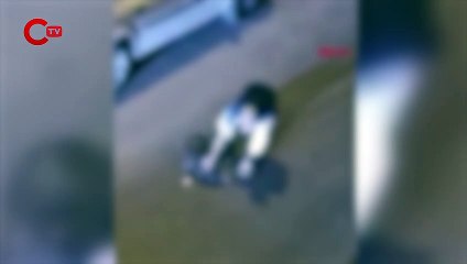 Avcılar'da çaldığı köpeğe eziyet eden zanlı gözaltına alındı