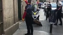 Un buitre ha sido rescatado por la Policía Municipal en el barrio madrileño de Malasaña