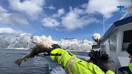 Mind Blowing Moments Caught On Camera!