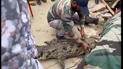 तीन घंटे की मशक्कत के बाद किया रेस्क्यू