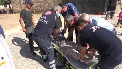 Скачать видео: Taşla eşinin kafasına vurarak yaraladıKoca şiddetine maruz kalan kadın hastaneye kaldırıldı