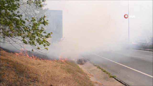 Son dakika haber... D-100'deki anız yangını sürücülere zor anlar yaşattı