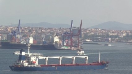 El primer buque con cereal ucraniano pasa el Bósforo tras superar inspección