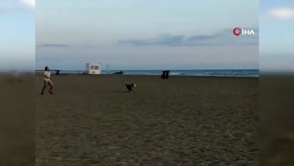 Plajda ayakkabısını köpeğe kaptırdı, metrelerce peşinden koştu