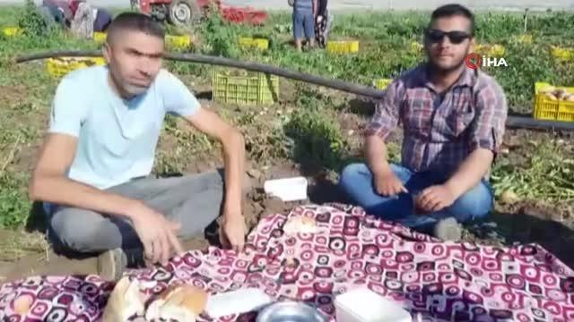2 belde ve 16 köyün geçimini sağladığı patateste rekolte yüzleri güldürdü