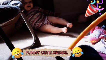 Funny Animal Videos 2022    Funniest Cats And Baby Videos,cute animal video  #17