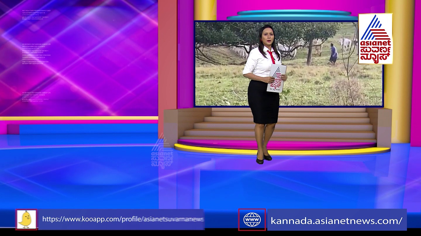 ಟ್ರಕ್ ಮೇಲೆತ್ತುವಾಗ ನೀರಿಗೆ ಬಿದ್ದ ಕ್ರೇನ್!