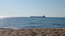 Cuatro nuevos buques de carga parten de Ucrania cargados de cereales
