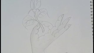 Pencil drawing of hand  with Rose stick. very easy drawing.