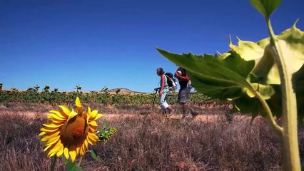 Latidos del Camino- Moratinos: un paisaje zen