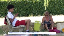 Le Journal - 03/08/2022 - METEO / Baigneurs en quête de fraîcheur à Bourgueil