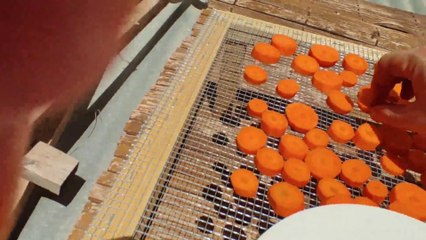 Mode emploi déshydrater de la carotte au soleil avec un séchoir solaire☀️
