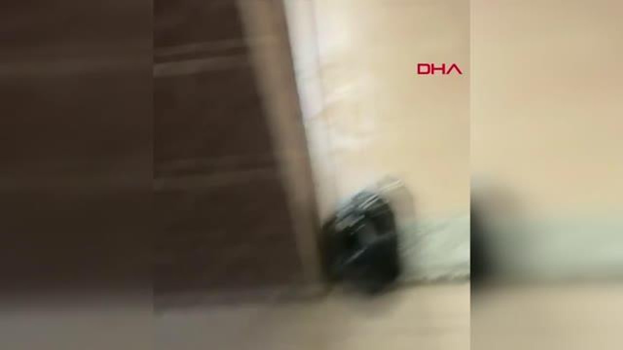 MERDİVEN ALTI ÜRETİLEN MİDYELERE EL KONULDU