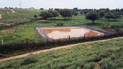 बस्सी में 2 इंच बारिश, कॉलोनियां जल मग्र