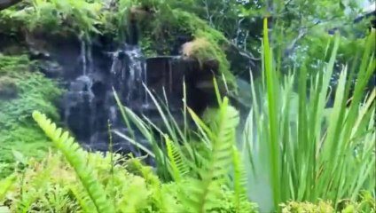 Soft Piano Music - Soft Melody Music, Lullaby Music, Stress Relaxing Music