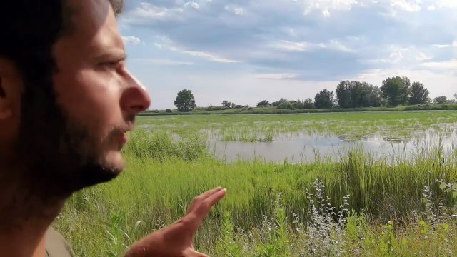 Vauvert Réserve du Petit Rhône à Sylvéréal avec Jonathan Aurélio