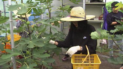 '전남에서 살아보기'...취업·창업에 인구 유입 효과도 / YTN