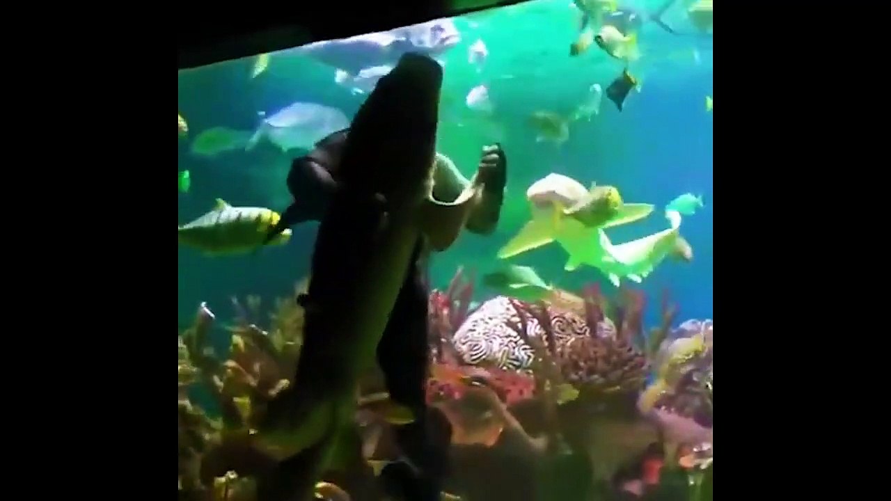 1 in 1,000,000 Animal Moments Caught On Camera