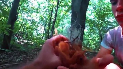 Animals That Asked People for Help (2)