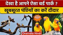 Chandigarh Bird Park: पहले कभी नहीं देखे होंगे इतने खूबसूरत पक्षी | वनइंडिया हिंदी | *News