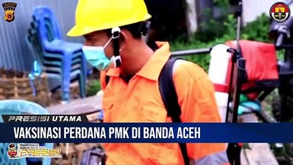 Pj Walikota Banda Aceh dan Wakapolresta Meninjau Penyuntikan Vaksin Perdana PMK di Kota Banda Aceh