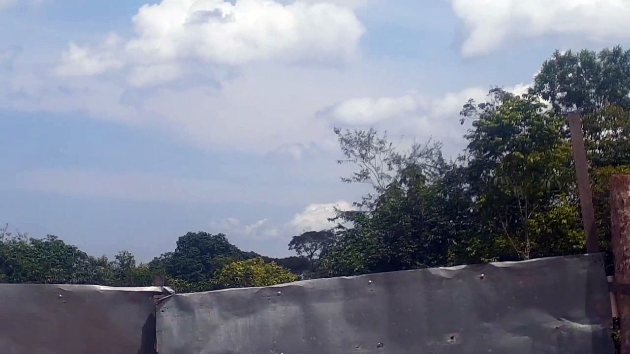 Boeing 737-800 PR-GZI on final approach coming from Brasília to Manaus