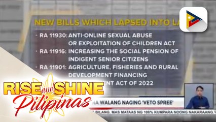 Palasyo, nilinaw na walang naging 'veto spree'