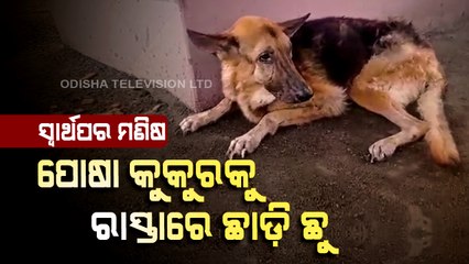 Inhuman! Owner abandons pet dog on cuttack road