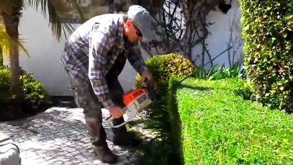 Animals That Asked People for Help (4)