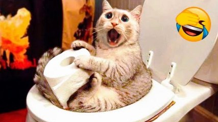 Best Funny Animal Videos 2022  - Funniest And Cute Dogs And Cats Videos .mp4