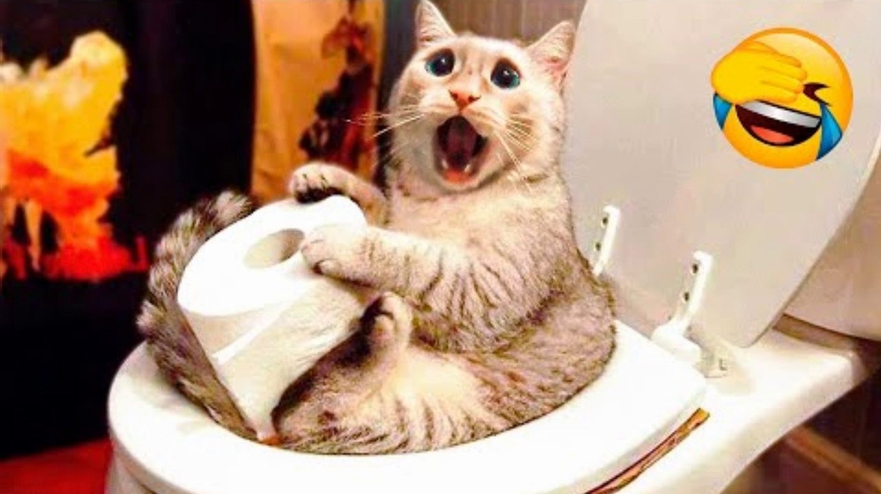 Best Funny Animal Videos 2022  - Funniest And Cute Dogs And Cats Videos .mp4