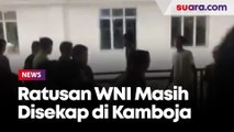 Ratusan WNI Masih Disekap di Shihanoukville Kamboja, Keadaannya Mencekam