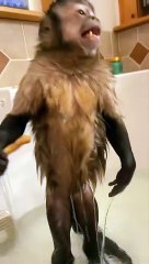 I was just trying to soak and enjoy my pork skins and wine