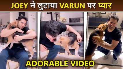 Varun Dhawan Shares Most ADORABLE Video With His Dog Joey