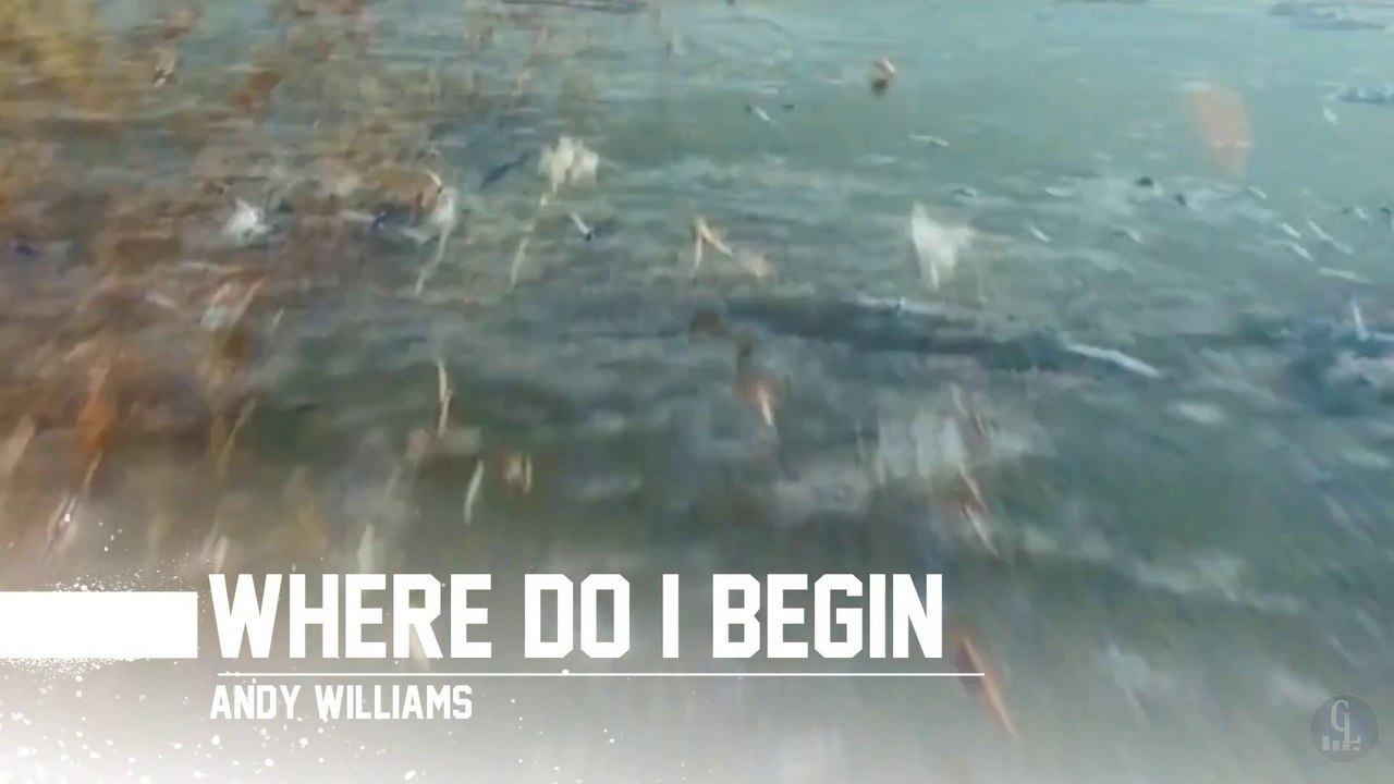 Where Do I Begin - Andy Williams (Music Video)