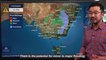 Windy conditions for SE Aus, possible flooding in NSW, Vic & SA - BoM Severe Weather Update | August 4, 2022 | ACM