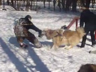 мои рисунки 072