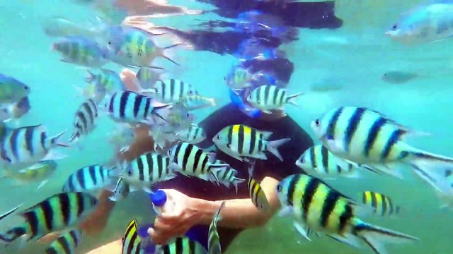 Destinasi Wisata Pantai Gili Nanggu NTB