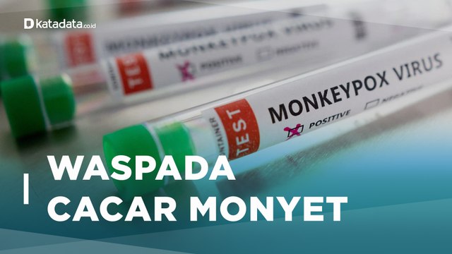 1 Kasus Suspek Ada di Jateng, Ini Gejala dan Pencegahan Cacar Monyet | Katadata Indonesia