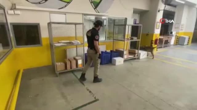 Kargoyla İngiltere'ye uyuşturucu sevkiyatına polis engeli