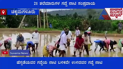 Chikkamagaluru: 21 ತಲೆಮಾರುಗಳಿಂದ ನಡೆದುಕೊಂಡು ಬರ್ತಿರೋ ವಿಶಿಷ್ಟ ಗದ್ದೆ ನಾಟಿ ಸಂಪ್ರದಾಯ