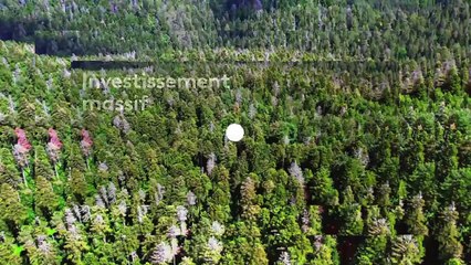 [BA] Sale temps pour la planète – Vosges, coup de chaud sur le massif - 10/08/2022