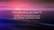 Al Fatiha - Ayatul Kursi - (4 Quls) Al Ikhlas - Al Falaq - An-nas (Be Heaven) Omar Hisham