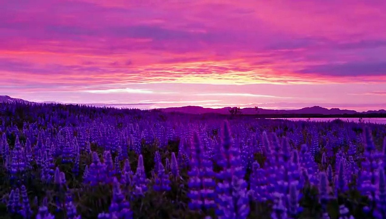 iceland2