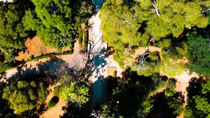 Ecco l'App che racconta il Genio di Palermo ai turisti