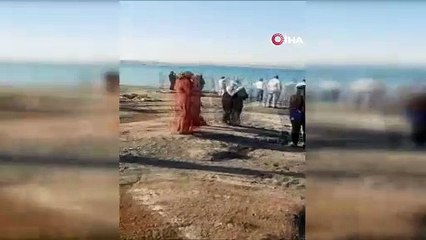 Van Gölü'nde korku dolu anlar! sürüklenen çocuğu jandarma kurtardı