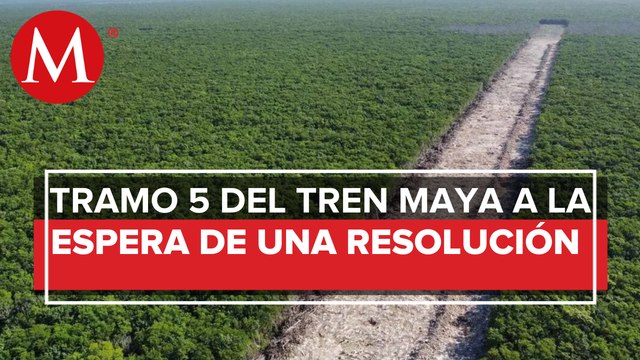 Fonatur: Obras en tramo 5 del Tren Maya siguen detenidas; se han respetado amparos