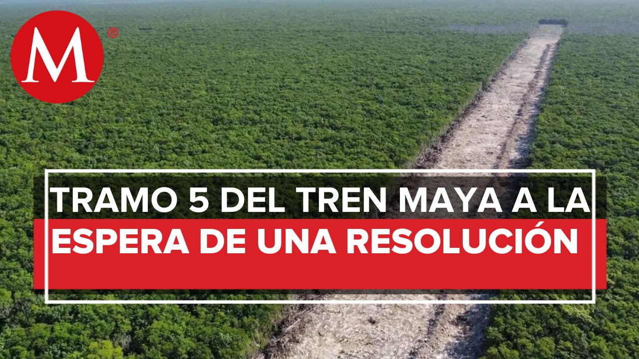 Fonatur: Obras en tramo 5 del Tren Maya siguen detenidas; "se han respetado amparos"