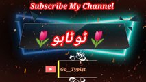 Ki tum kaisi hoo | کی  تم کیسی ھو | go__typist
