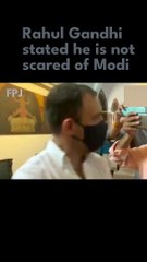 Not Scared Of Modi Says Rahul Gandhi
